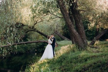 the groom and the bride are walking in the forest near a narrow river
