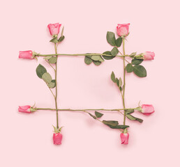 Obraz premium Lovely frame made of beautiful and fresh Roses inspired concept. Top view arrangement made of roses against baby pink background.