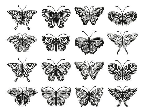 Collection of monochrome illustrations of butterflies in sketch style. Hand drawings in art ink style. Black and white graphics.
