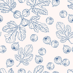 Vector seamless pattern with figs. Hand drawn textures. Elegant seamless botanical pattern for paper, fabric, wallpaper, surface design