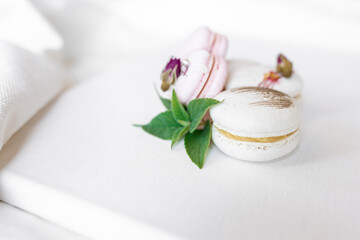 Beautiful tender delicious pastries with a green leaf on a light background. White and pink macaroons on a white canvas. Valentines Day background