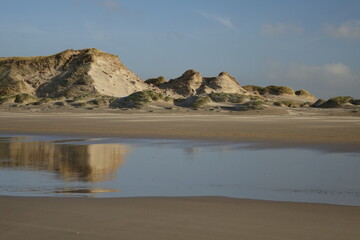North Sea dunes with marram grass seen from the beach on a cold an sunny winter day, Egmond aan Zee, North Holland, Netherlands