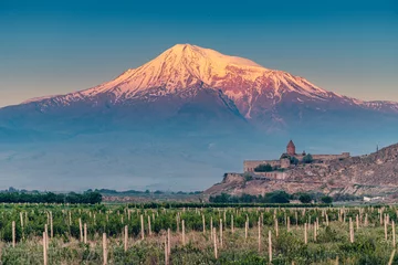 Foto op Canvas Vineyards on a fertile plain at the foot of Mount and volcano of Ararat and famous monastery of Khor Virap in the background at sunset © EdNurg