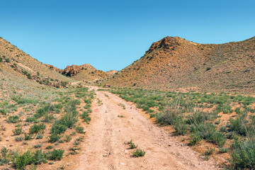 Desert landscape with dirt road and sparse shrubs in asian country with an arid climate and anhydrous soil. Extreme terrain wallpaper