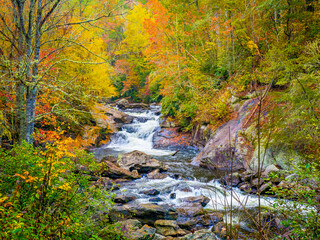 Fall color around small waterfals in the Cullasaja River in Nantahala National Forest between...