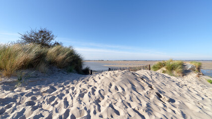 Sand dunes in the bay of Sienne 