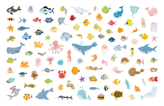 Vector collection of cute cartoon marine animals. Characters for children's books, cards, stickers, prints. Illustrations for kids.