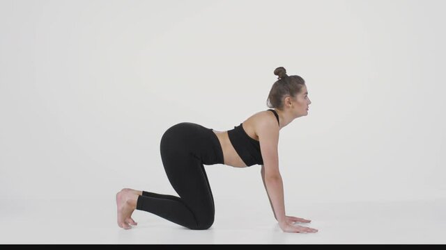 Back strengthening practice. Side view of young flexible sporty lady doing cat cow pose, kneeling over white background