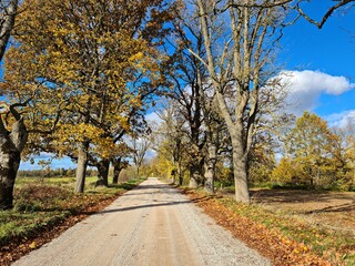 Single track dirt roads passing through vast forest spaces connect the villages