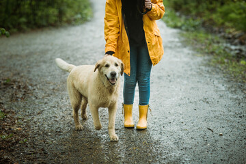 Anonymous woman walking dog in the rain with yellow raincoat