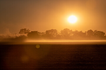 Sunset over the soybean harvest
