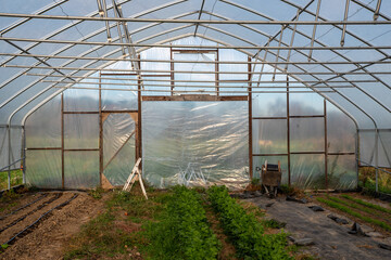 Fototapeta premium Irrigation equipment and step ladder in vegetable greenhouse
