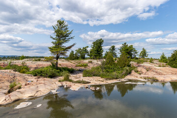 Fototapeta na wymiar pine trees on a granite island on Georgian Bay, Ontario, Canada