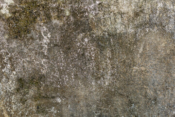 Texture Wall 06