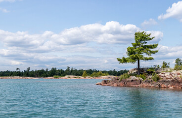 pine tree on the rocky coast of Georgian Bay in Ontario, Canada on a summer day