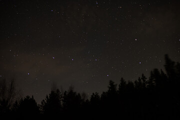 Naklejka premium Night shot of the constellation Ursa Major over a dark forest.
