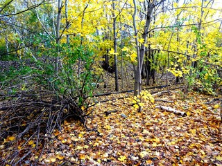 Im Gleisdreieckpark in Berlin im Herbst