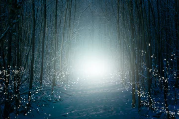 Gordijnen Enchanted winter forest with snow, shimmering star lights and mysterious fog. © Nancy Pauwels