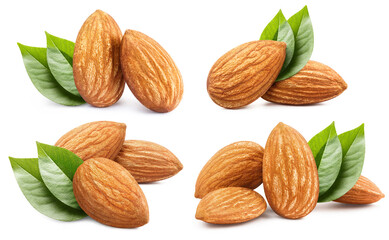 Delicious almonds collection, isolated on white background