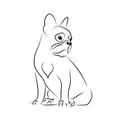 vector white black outline french bulldog symbol sweet dog emblem pet sticker puppy mascot