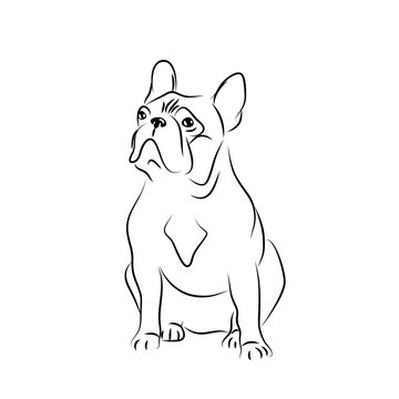 vector white black  french bulldog symbol sweet dog emblem pet sticker puppy mascot