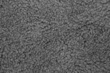 Texture of a soft gray carpet. Background.