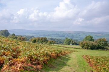 Brecon beacons scenery in Wales.