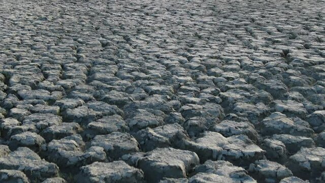 The bottom of a lake that has dried up. Ecological catastrophy. Global warming. Lifeless desert