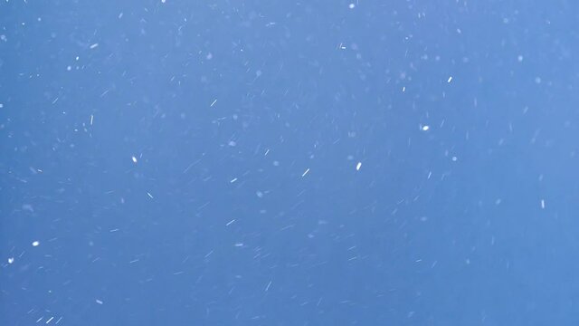 Snowflakes are swirling on a snowy day against the background of a clear blue sky.