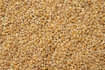 Pearl barley close-up for the whole frame. Pearl barley texture.