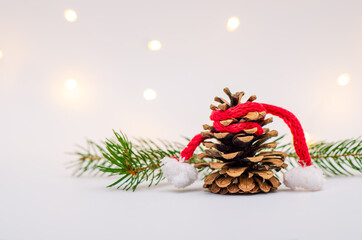 Close-up - pine cone. Christmas new year background