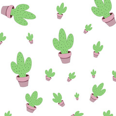 Pattern from cacti with thorns on a white background.