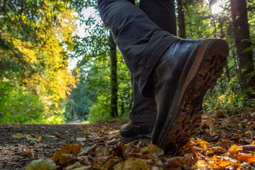 person walking in autumn park