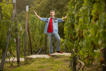 happy male vineyard owner. professional vintner on grape farm. man harvester on summer harvest.