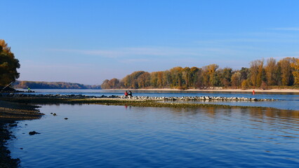 Herbsttag in den Donauauen