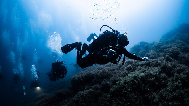 Fotograf&iacute;a submarina en la Reserva de Islas Hormigas, en Cabo de Palos, Murcia, Espa&ntilde;a.
