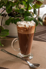 Cocoa with marshmallows in a tall glass