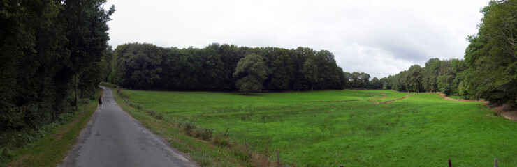 Le chemin, aventure pédestre en images sur les grands chemins de randonnées en France et en Europe.