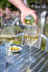 Drinking of dry white wine on open terrace in spring garden