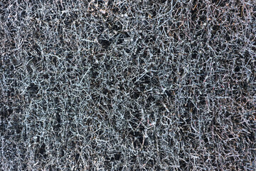 Small black branches texture in the park 