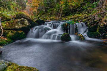 Fototapeta premium Sumny creek in autumn morning in Jeseniky mountains