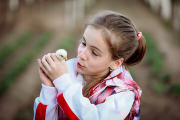 A girl holds a little chicken in her hands.