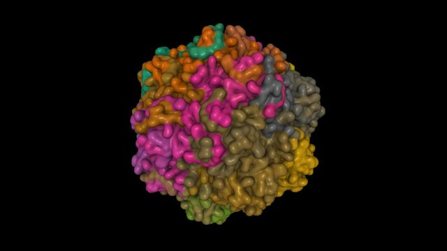 Atomic resolution structure of human bufavirus 1. Animated 3D Gaussian surface model, entity id color scheme, PDB 6bwx, black background