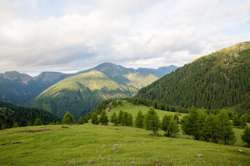 Alpenblick, natur