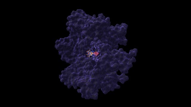 HIV 1 gag polyprotein hexamer complexed with antiviral drug, AZT. Animated 3D cartoon and Gaussian surface models in perpendicular projections, PDB 6erm, black background