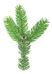 Green fir branch for christmas isolated on a white background