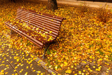 bench in park