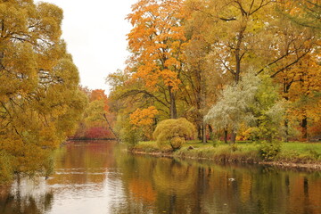 Beautiful autumn landscape with a lake. Park in autumn, St. Petersburg, Russia