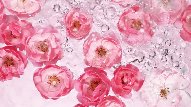 Super slow motion. Rose blossoms on water surface, top down view. Filmed on high speed cinematic camera at 1000 fps.