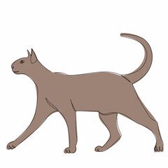 sketch cat brown, vector, isolated
